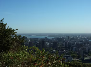 Viewpoint null