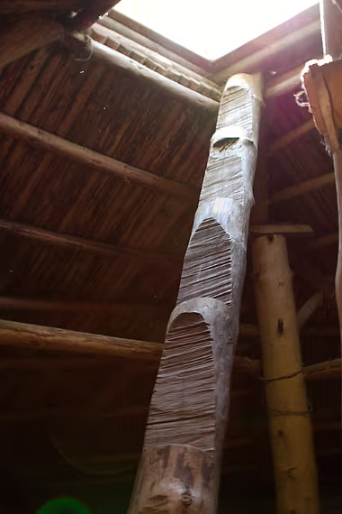 Ladder null