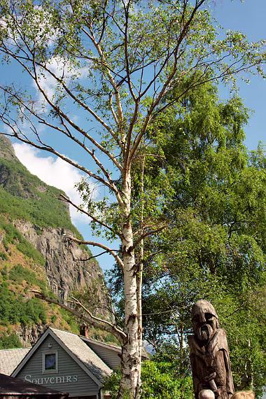 Touristenfalle null