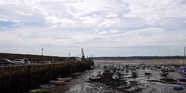 Harbour Tristesse null