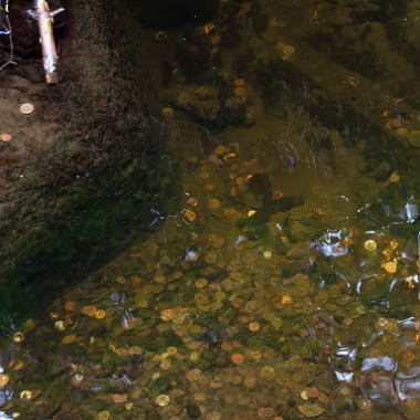 Brunnen null