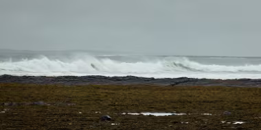 Waves II null