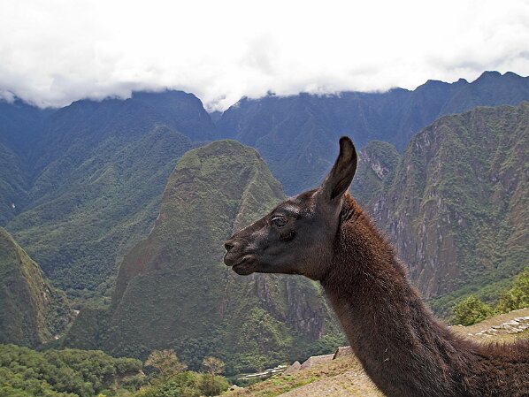 Peru 2006 2. - 11.10.