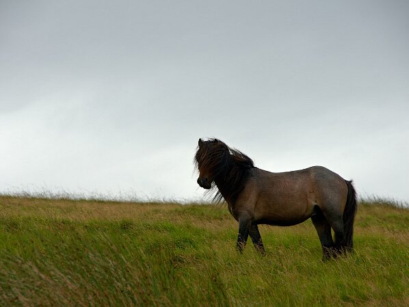 Wales 2010 25.7. - 5.8.